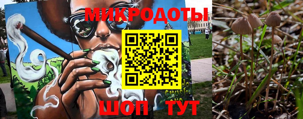 Псилоцибиновые грибы мухоморы  Вход с VPN  Ставрополь  Галлюциногенные грибы ЛСД 